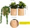 Set of 3 Mini Artificial Succulents in Pots – Realistic Faux Small Potted Plants for Aesthetic Room Decor, Office Desk, Bathroom & Bookshelf Modern Home Accents